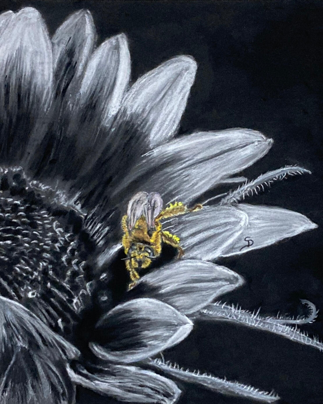 "Bee's Embrace"- Ltd. Edition